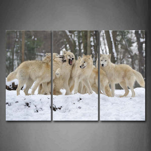 Group Wolf In Snowfield Trees Wall Art Painting Pictures Print On Canvas Animal The Picture For Home Modern Decoration 