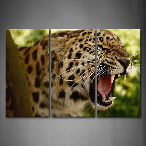 Jaguar Head Open Mouth  Wall Art Painting Pictures Print On Canvas Animal The Picture For Home Modern Decoration 