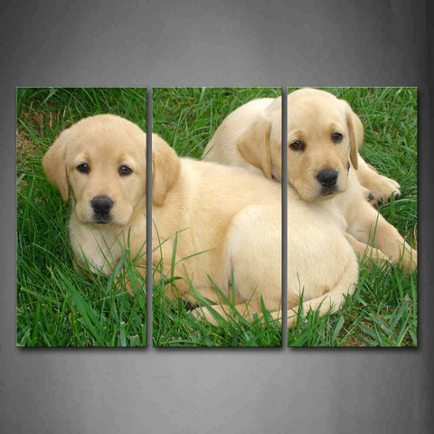 Two Labrador Retrievers Sit On Green Grass Wall Art Painting The Picture Print On Canvas Animal Pictures For Home Decor Decoration Gift 