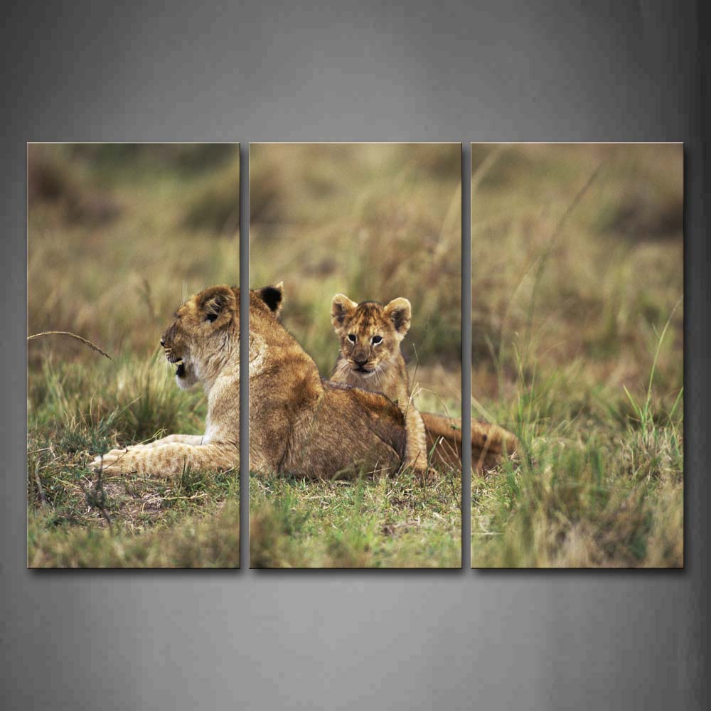 Lions Lying Down In Grass Staring Wall Art Painting The Picture Print On Canvas Animal Pictures For Home Decor Decoration Gift 