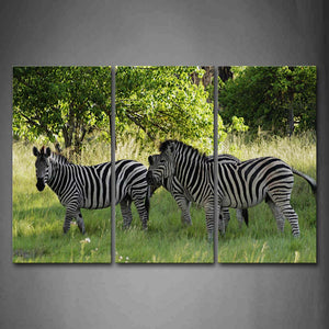 Three Zebras Stand On Grass Trees Wall Art Painting Pictures Print On Canvas Animal The Picture For Home Modern Decoration 