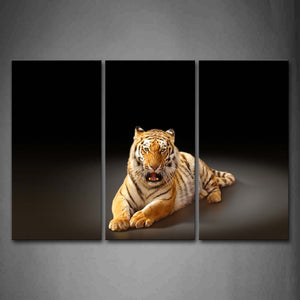 Tiger Bend Over Land Black Background Wall Art Painting Pictures Print On Canvas Animal The Picture For Home Modern Decoration 