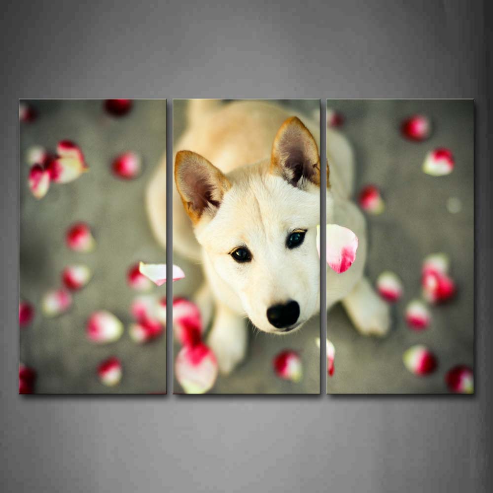 White And Yellow Dog Stare At Fallen Flower Wall Art Painting Pictures Print On Canvas Animal The Picture For Home Modern Decoration 