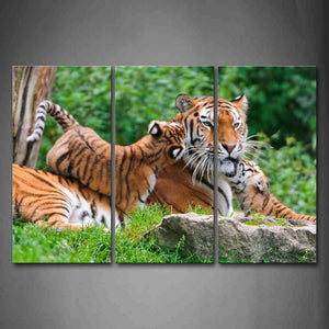 Mother Tiger And Cub Play On Grass Tree Rock Wall Art Painting The Picture Print On Canvas Animal Pictures For Home Decor Decoration Gift 