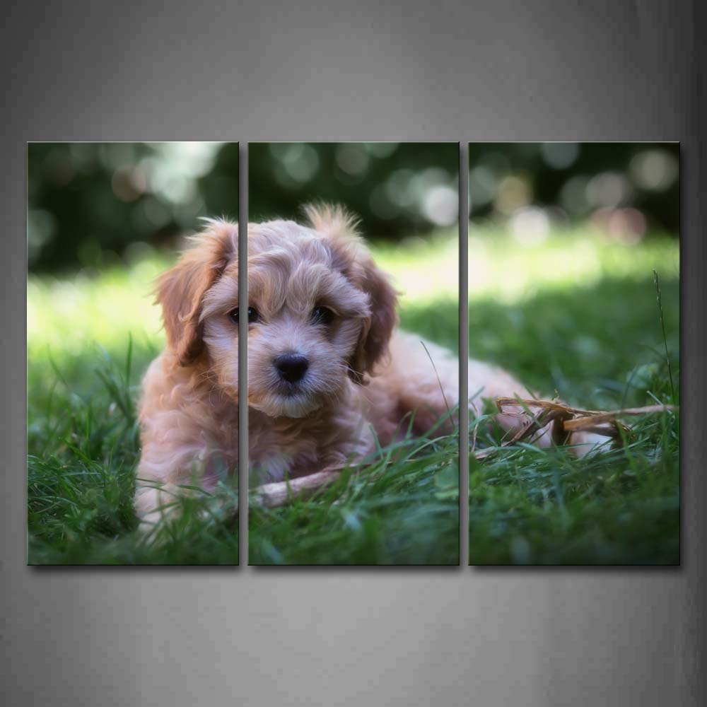 Dog Bend Over Grassland Wall Art Painting The Picture Print On Canvas Animal Pictures For Home Decor Decoration Gift 