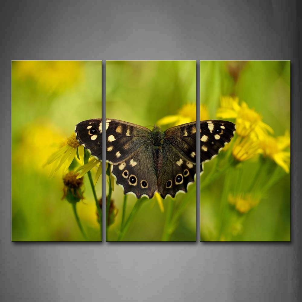 Black Butterfly With Spot In Yellow Flower Wall Art Painting Pictures Print On Canvas Animal The Picture For Home Modern Decoration 