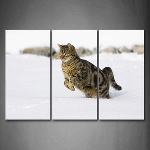 Cat Play On Snowfield Wall Art Painting The Picture Print On Canvas Animal Pictures For Home Decor Decoration Gift 