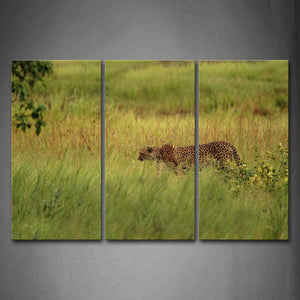 Cheetah Walking In The Bushes Wall Art Painting Pictures Print On Canvas Animal The Picture For Home Modern Decoration 