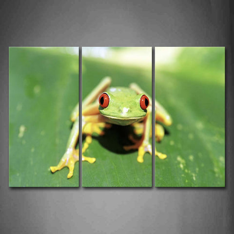 Red Eyed Tree Frog Sit On Green Leafs Wall Art Painting The Picture Print On Canvas Animal Pictures For Home Decor Decoration Gift 