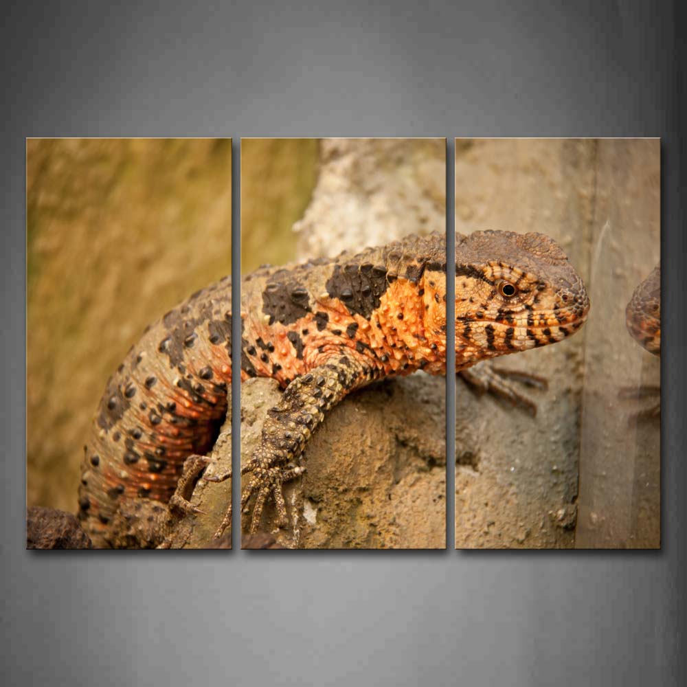 Crocodile Lizard  Wall Art Painting Pictures Print On Canvas Animal The Picture For Home Modern Decoration 