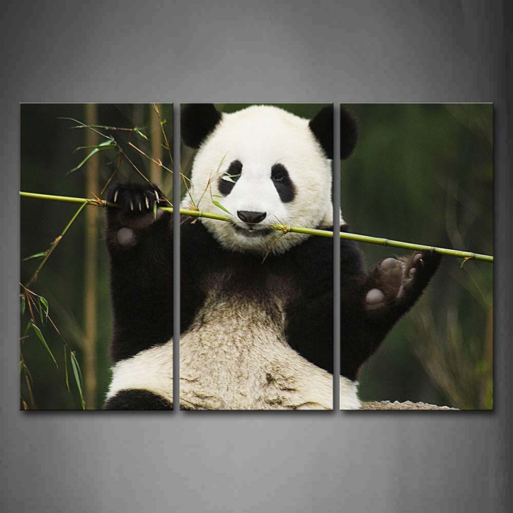 Lovely Panda Eating Green Bamboo Wall Art Painting The Picture Print On Canvas Animal Pictures For Home Decor Decoration Gift 