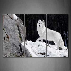 Black And White White Wolf Stand On Snowfield Rock Tree Wall Art Painting The Picture Print On Canvas Animal Pictures For Home Decor Decoration Gift 