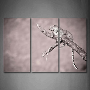 Leopard Climb On Branch Wall Art Painting Pictures Print On Canvas Animal The Picture For Home Modern Decoration 