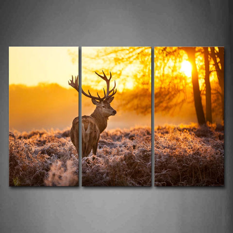 Deer Look Back Tree Sunset Wall Art Painting The Picture Print On Canvas Animal Pictures For Home Decor Decoration Gift 