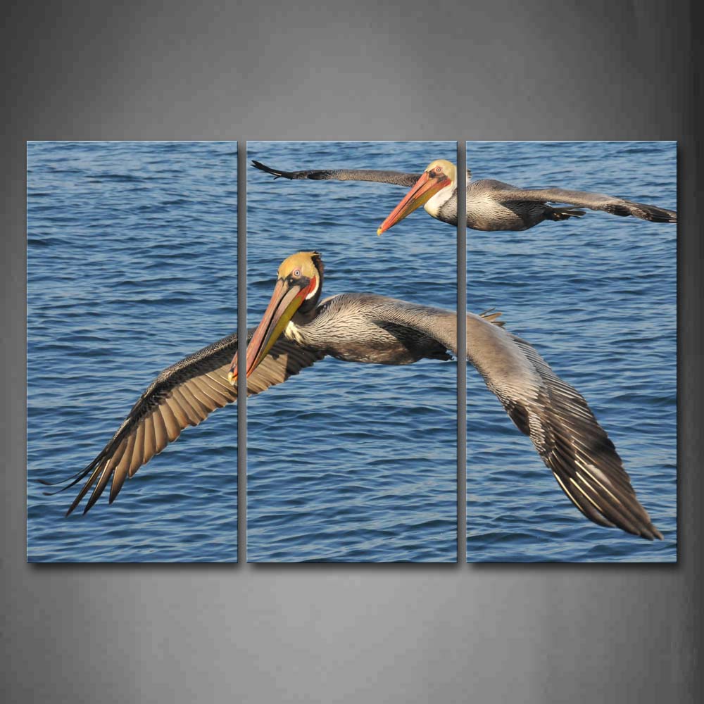 Two Pelicans Fly Over Blue Sea Wall Art Painting Pictures Print On Canvas Animal The Picture For Home Modern Decoration 