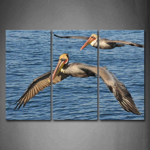 Two Pelicans Fly Over Blue Sea Wall Art Painting Pictures Print On Canvas Animal The Picture For Home Modern Decoration 