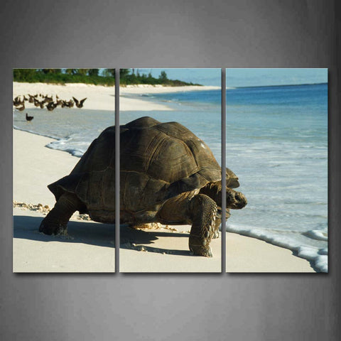 Turtle Crawl On Beach Wall Art Painting Pictures Print On Canvas Animal The Picture For Home Modern Decoration 