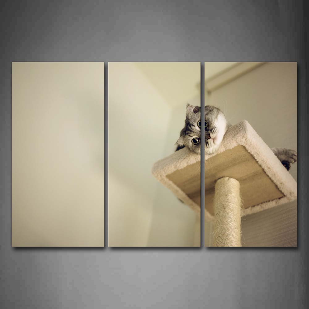 Cute Cat Inside Room Wall Art Painting The Picture Print On Canvas Animal Pictures For Home Decor Decoration Gift 