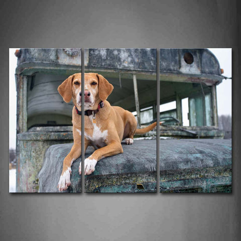 Yellow Dog Bend Over A Old Car Wall Art Painting Pictures Print On Canvas Animal The Picture For Home Modern Decoration 