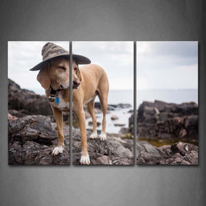 Yellow Dog Wear A Cap Stand On Rock On Beach Wall Art Painting The Picture Print On Canvas Animal Pictures For Home Decor Decoration Gift 