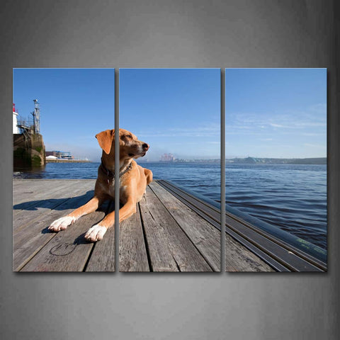 Yellow Dog Bend Over On Pier  Wall Art Painting Pictures Print On Canvas Animal The Picture For Home Modern Decoration 