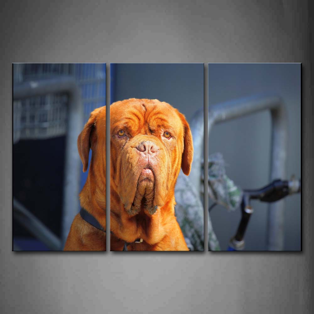 Brown Dog Staring Wall Art Painting Pictures Print On Canvas Animal The Picture For Home Modern Decoration 