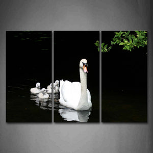 Swan Bring Its Cub On Water Wall Art Painting Pictures Print On Canvas Animal The Picture For Home Modern Decoration 