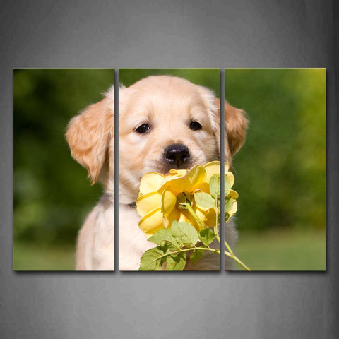 Yellow Puppy Smell A Yellow Flower Wall Art Painting The Picture Print On Canvas Animal Pictures For Home Decor Decoration Gift 