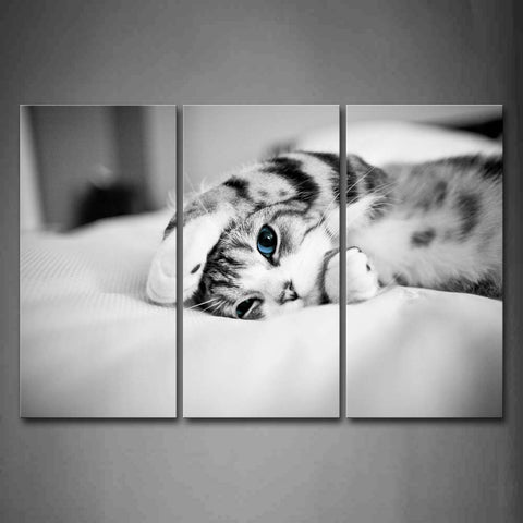 Black And White Cat Lie On White Blanket Wall Art Painting Pictures Print On Canvas Animal The Picture For Home Modern Decoration 