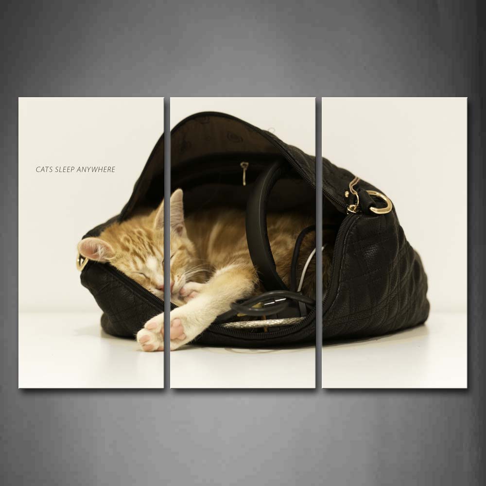 Cat In Black Bag Sleeping Wall Art Painting Pictures Print On Canvas Animal The Picture For Home Modern Decoration 