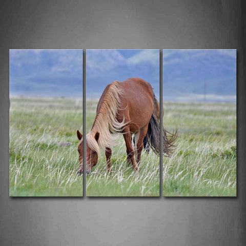 Brown Horse Eating Grass On Grassland Wall Art Painting Pictures Print On Canvas Animal The Picture For Home Modern Decoration 