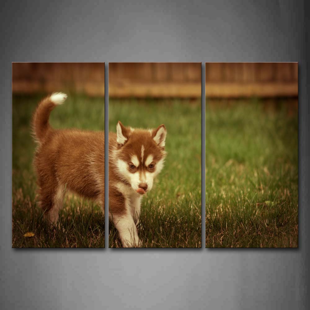 Brown And White Puppy Stand On Lawn Wall Art Painting The Picture Print On Canvas Animal Pictures For Home Decor Decoration Gift 