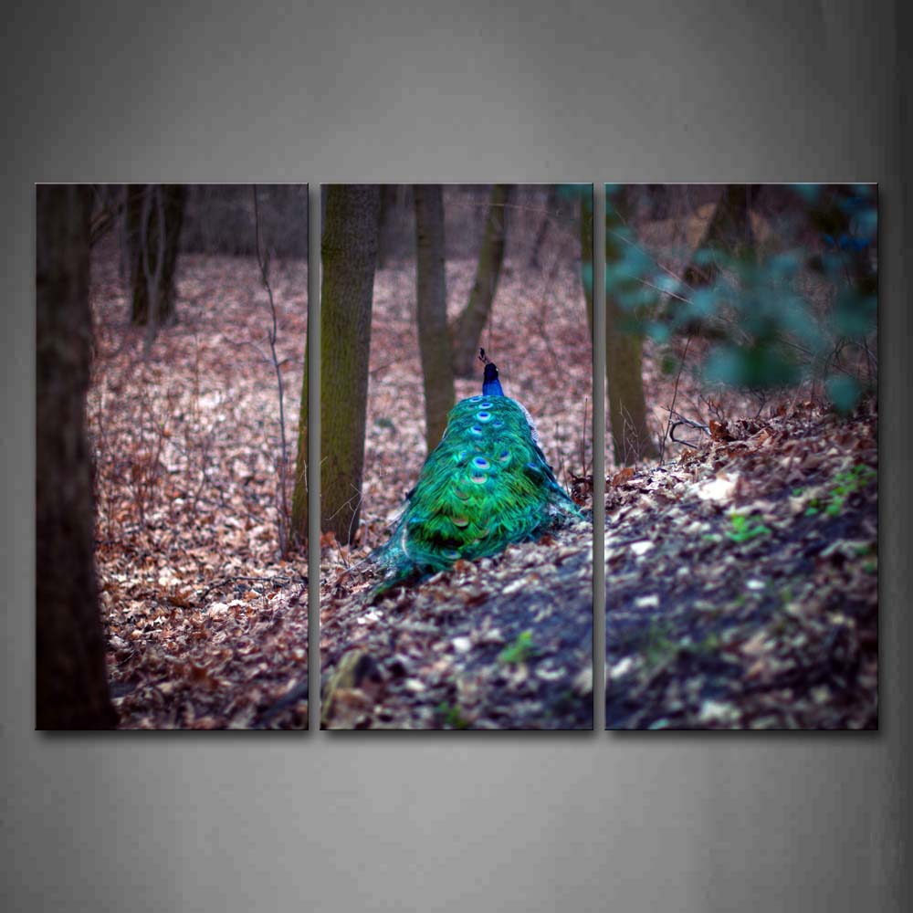 Peacock Sitting With Dead Leaf Wall Art Painting The Picture Print On Canvas Animal Pictures For Home Decor Decoration Gift 