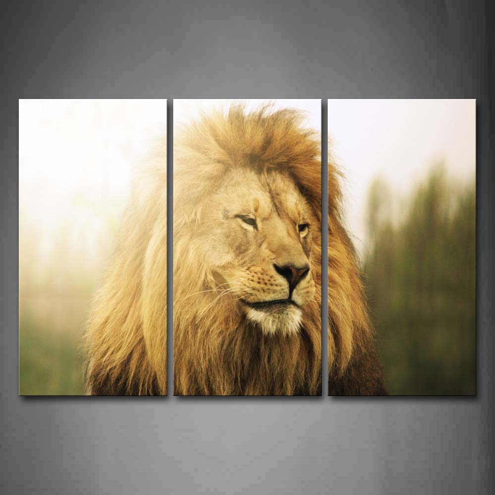 Lion Staring Head  Wall Art Painting Pictures Print On Canvas Animal The Picture For Home Modern Decoration 