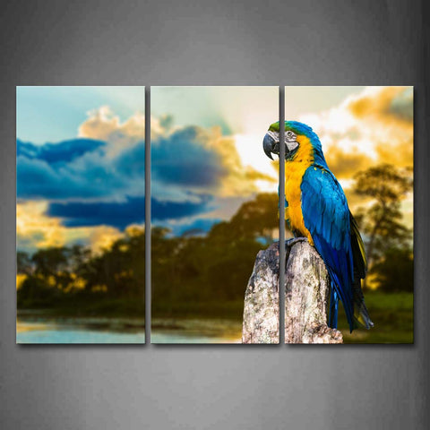 Yellow And Blue Macaw Stand On Dry Wood Wall Art Painting Pictures Print On Canvas Animal The Picture For Home Modern Decoration 