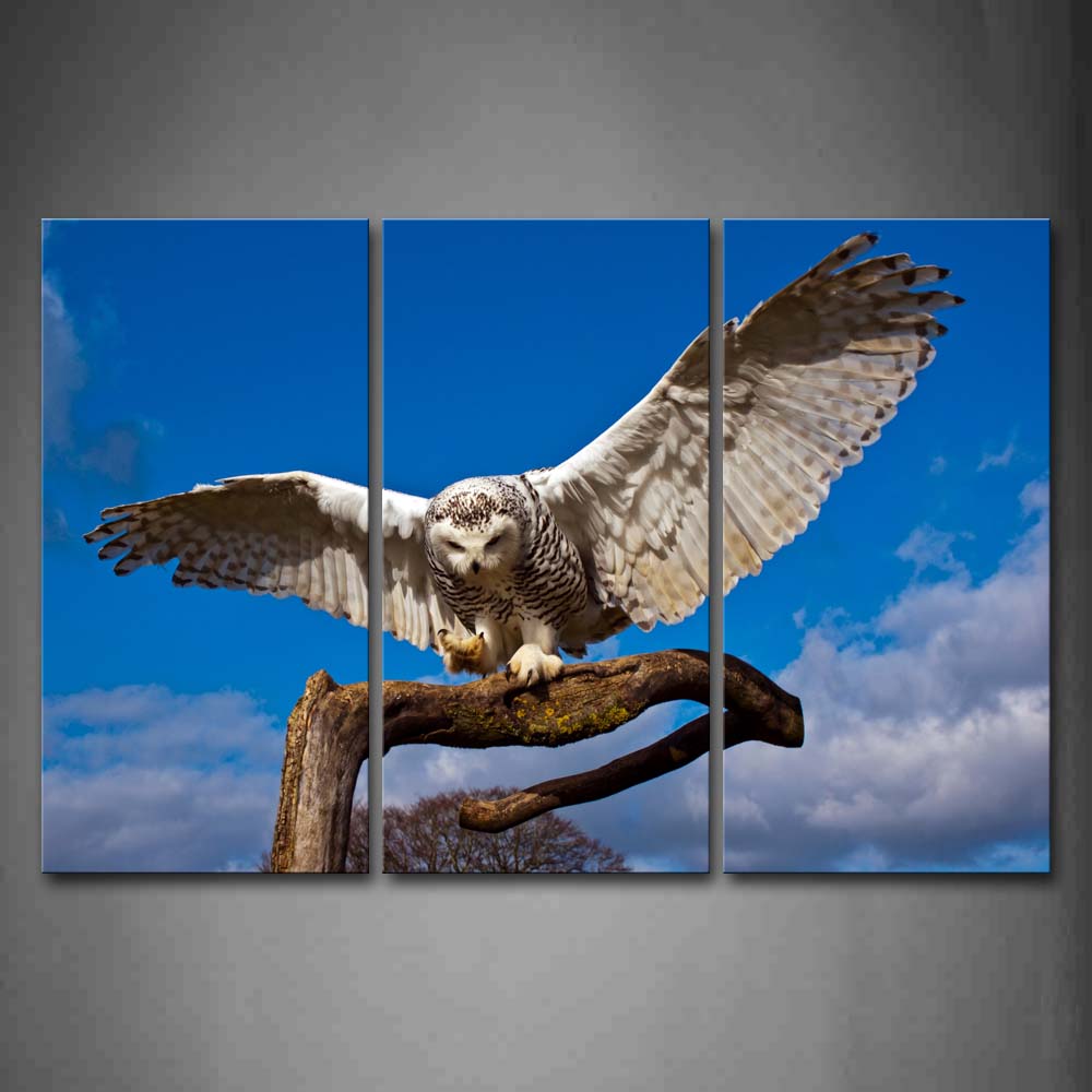 Snowy Owl Stand On Dry Wood Blue Sky Wall Art Painting The Picture Print On Canvas Animal Pictures For Home Decor Decoration Gift 