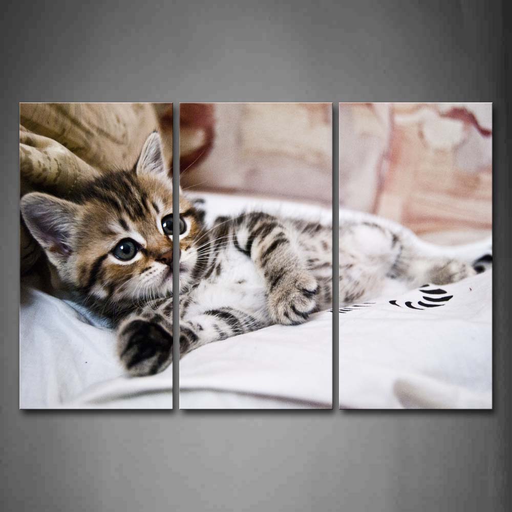 Cute Cat Lie On White Blanket Wall Art Painting The Picture Print On Canvas Animal Pictures For Home Decor Decoration Gift 