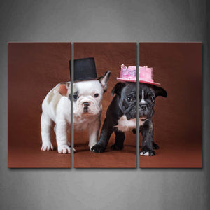 Black And White Puppys Wear Cap In Pink Background Wall Art Painting Pictures Print On Canvas Animal The Picture For Home Modern Decoration 