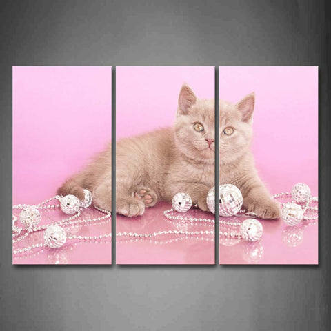 Gray Cat With Jewelry In Pink Background Wall Art Painting The Picture Print On Canvas Animal Pictures For Home Decor Decoration Gift 