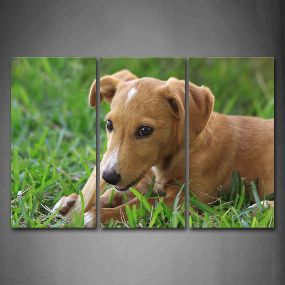 Yellow Dog Beng Over Grass Wall Art Painting Pictures Print On Canvas Animal The Picture For Home Modern Decoration 