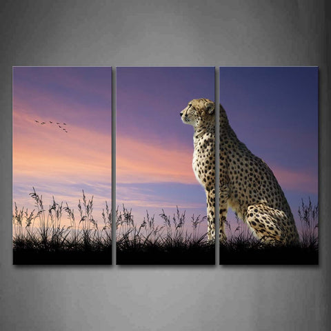 Cheetah Sitting In Field At Sunset Wall Art Painting The Picture Print On Canvas Animal Pictures For Home Decor Decoration Gift 