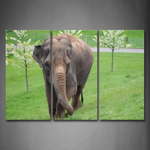 Asian Elephant Walk On Lawn Trees Wall Art Painting Pictures Print On Canvas Animal The Picture For Home Modern Decoration 