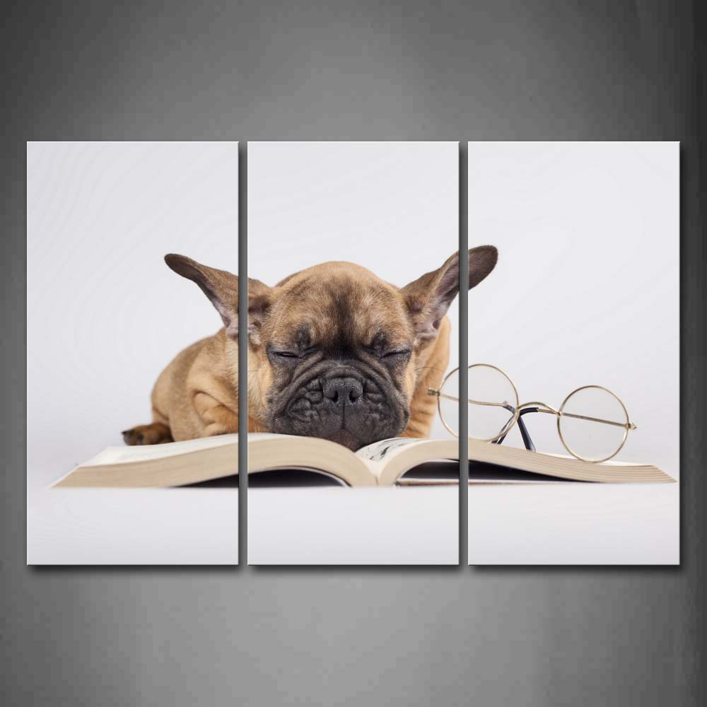 Yellow Dog Sleep On Book Near Glass Wall Art Painting The Picture Print On Canvas Animal Pictures For Home Decor Decoration Gift 