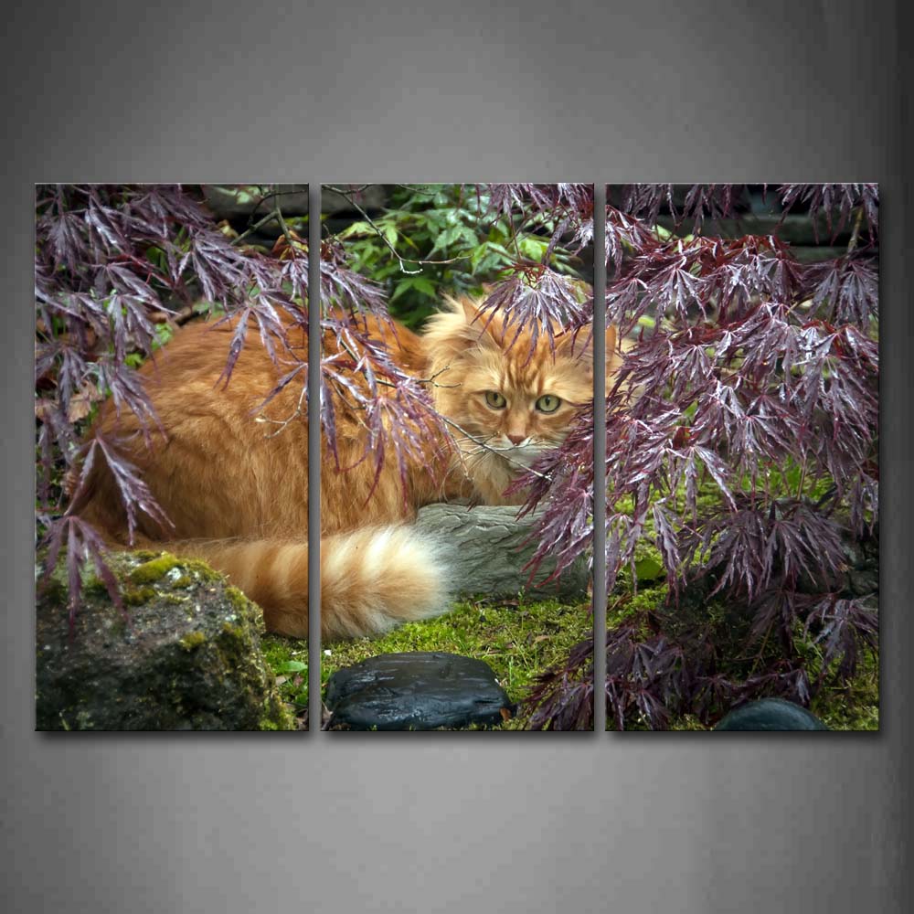 Yellow Cat Hide In Pink Tree Wall Art Painting Pictures Print On Canvas Animal The Picture For Home Modern Decoration 