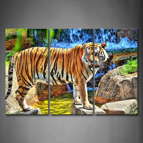 Tiger Stand On Rock Grass Waterfall Wall Art Painting The Picture Print On Canvas Animal Pictures For Home Decor Decoration Gift 