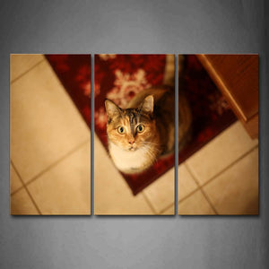 Cat Look Up At Ceiling Carpet  Wall Art Painting The Picture Print On Canvas Animal Pictures For Home Decor Decoration Gift 