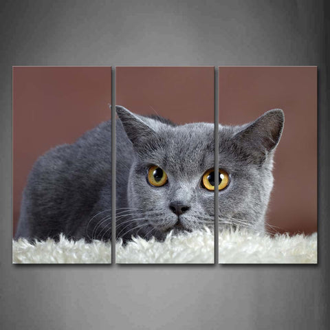 Gray Cat Bend Over Blanket Wall Art Painting Pictures Print On Canvas Animal The Picture For Home Modern Decoration 