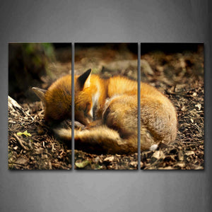 Yellow Fox Sleep  Wall Art Painting The Picture Print On Canvas Animal Pictures For Home Decor Decoration Gift 