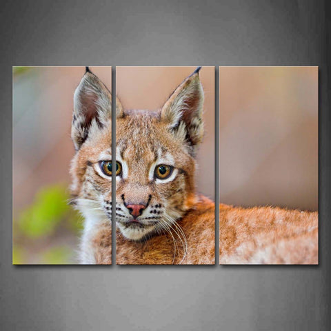 Lynx Look Back  Wall Art Painting Pictures Print On Canvas Animal The Picture For Home Modern Decoration 