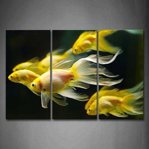 Group Of Golden Fish In Black Background Wall Art Painting Pictures Print On Canvas Animal The Picture For Home Modern Decoration 